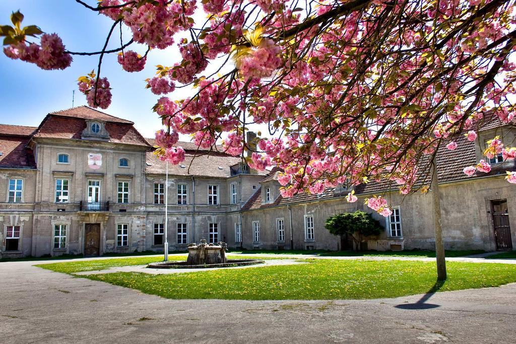 Gästehaus Schloss Plaue Brandenburg an der Havel Exterior foto
